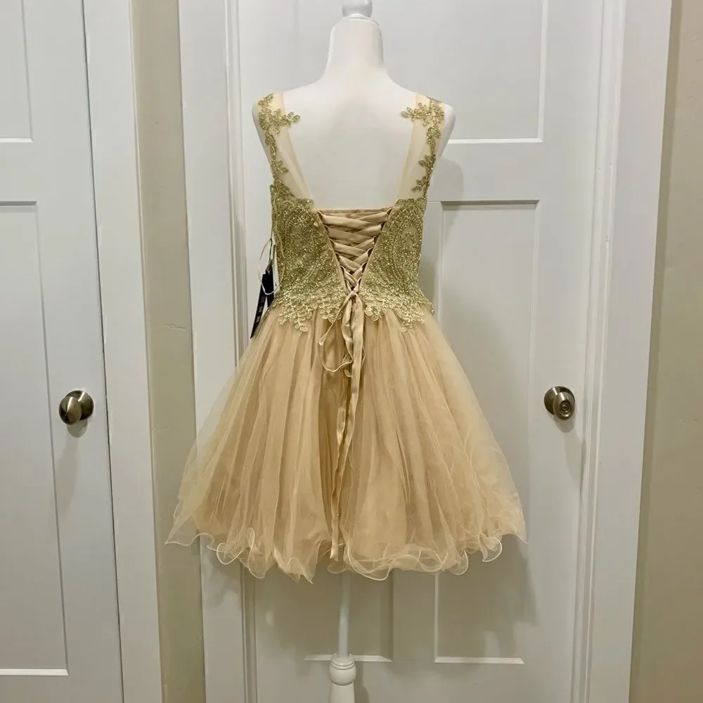 Mesh embroidered beaded Lace Short Ruffled  Dress